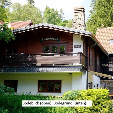 Ferienwohnungen Forellengrund Schierke Bagian luar foto