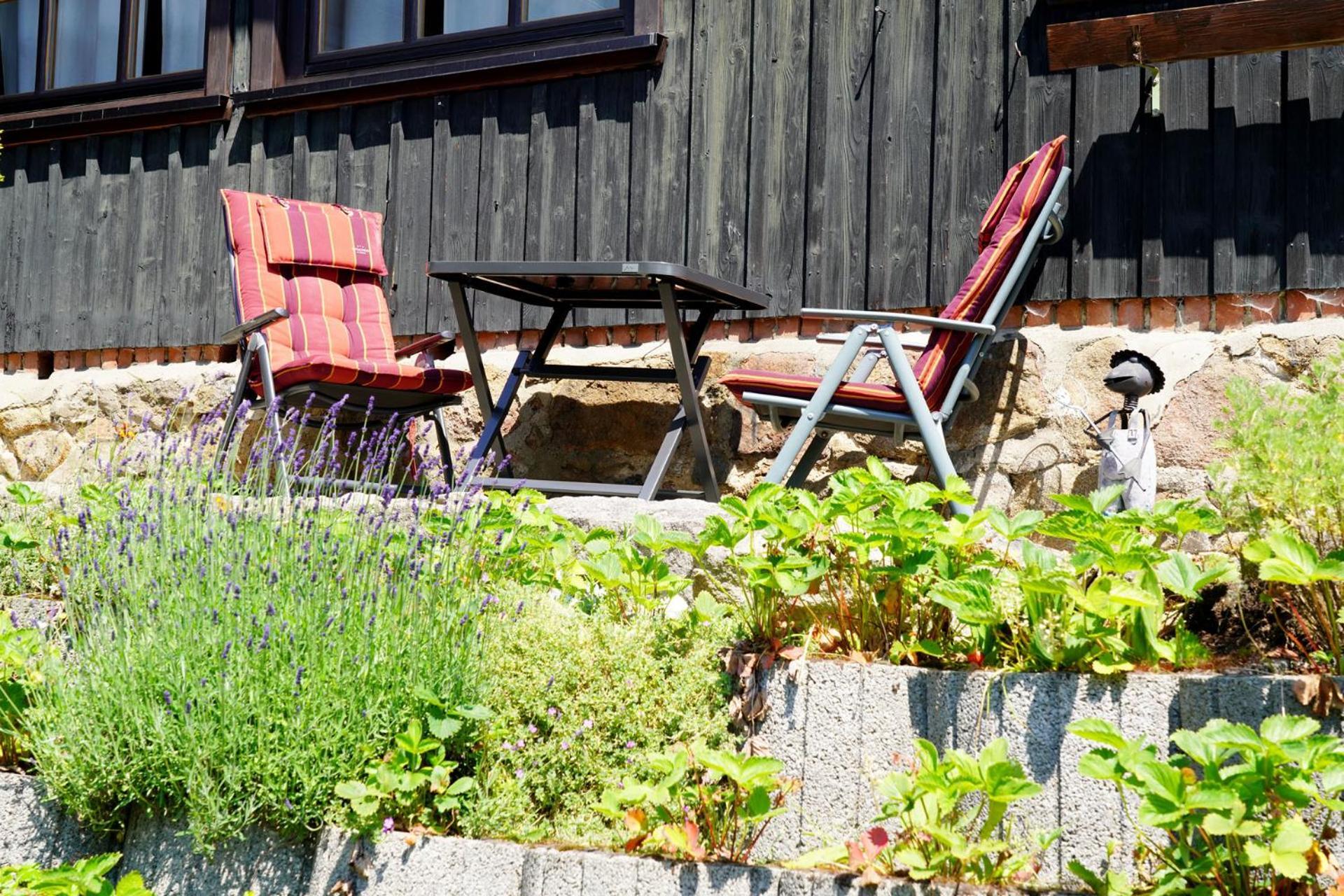 Ferienwohnungen Forellengrund Schierke Bagian luar foto